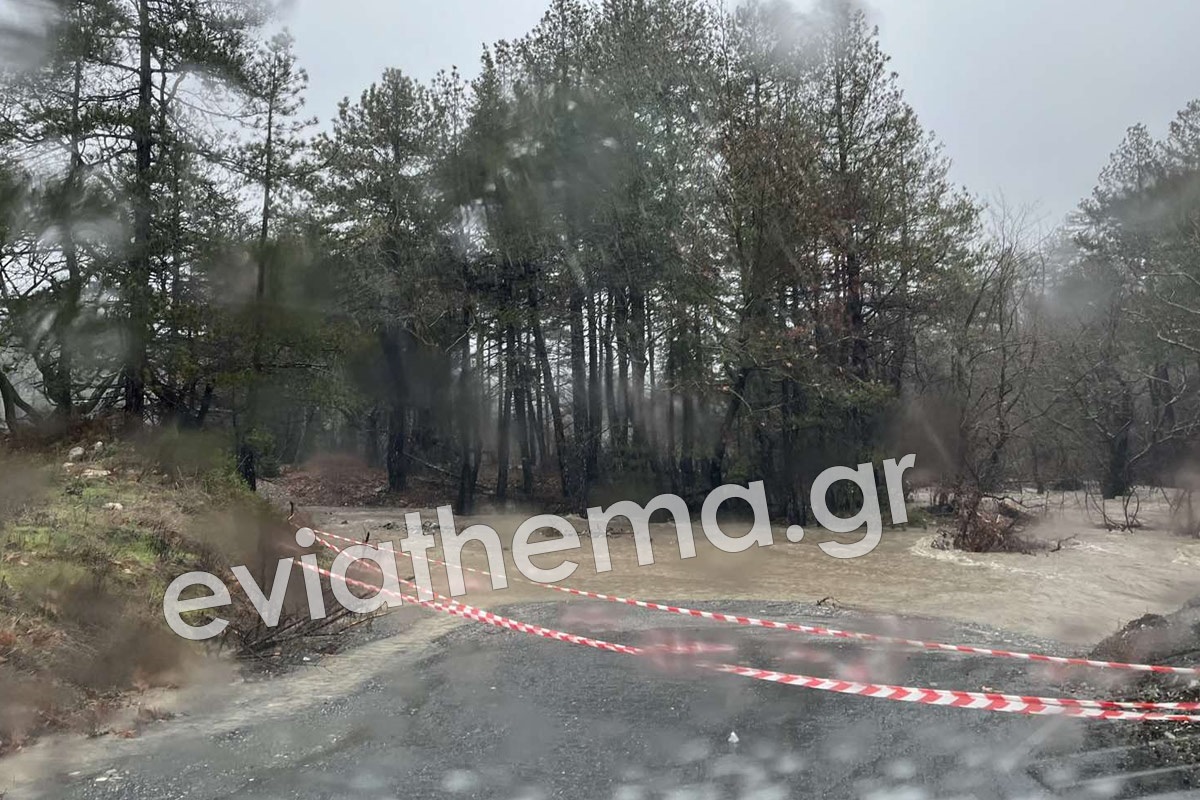 Κακοκαιρία: Η έντονη βροχόπτωση «έπνιξε» την Εύβοια –  Ποτάμια κατέληξαν στη θάλασσα