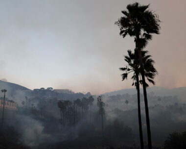 REUTERS