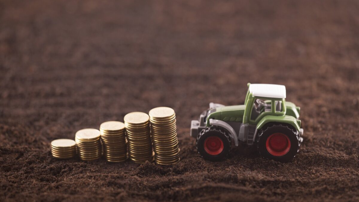 Φωτογραφία: iStock