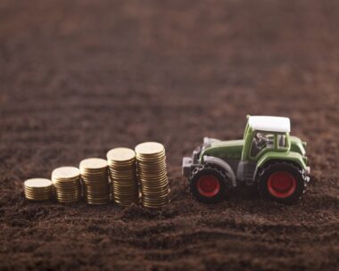 Φωτογραφία: iStock