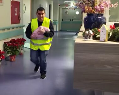 Λευκάδα: Άσκηση με αρπαγή μωρού από το νοσοκομείο γίνεται viral στα social media