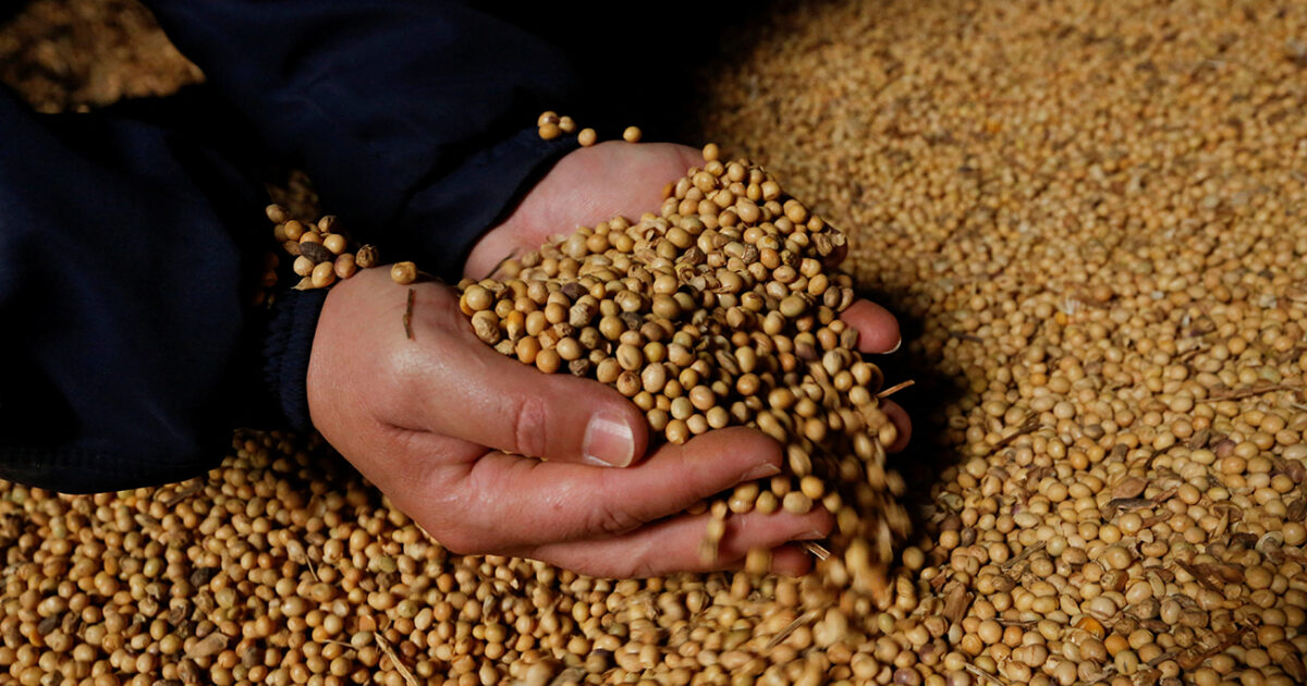 The “overflow” that the world’s oldest residents are integrated into their diet and live up to 100, according to experts