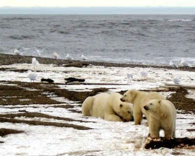 Reuters