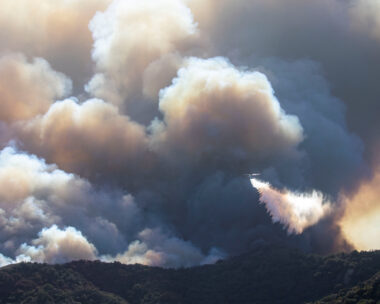 REUTERS