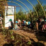 ΔΕΗ και Open Farm προωθούν τη βιώσιμη γεωργία στους μαθητές μέσω του «Carbon Farming Schools»