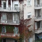 ΓΙΑΝΝΗΣ ΠΑΝΑΓΟΠΟΥΛΟΣ