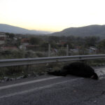 EUROKINISSI