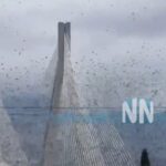 Σμήνος πουλιών «έκρυψε» τη γέφυρα Ρίου Αντιρρίου – Ένα μοναδικό θέαμα που κόβει την ανάσα