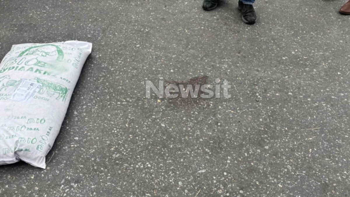 Βεντέτα στο Ηράκλειο: Ελεύθερη η 80χρονη του δράστη των πυροβολισμών