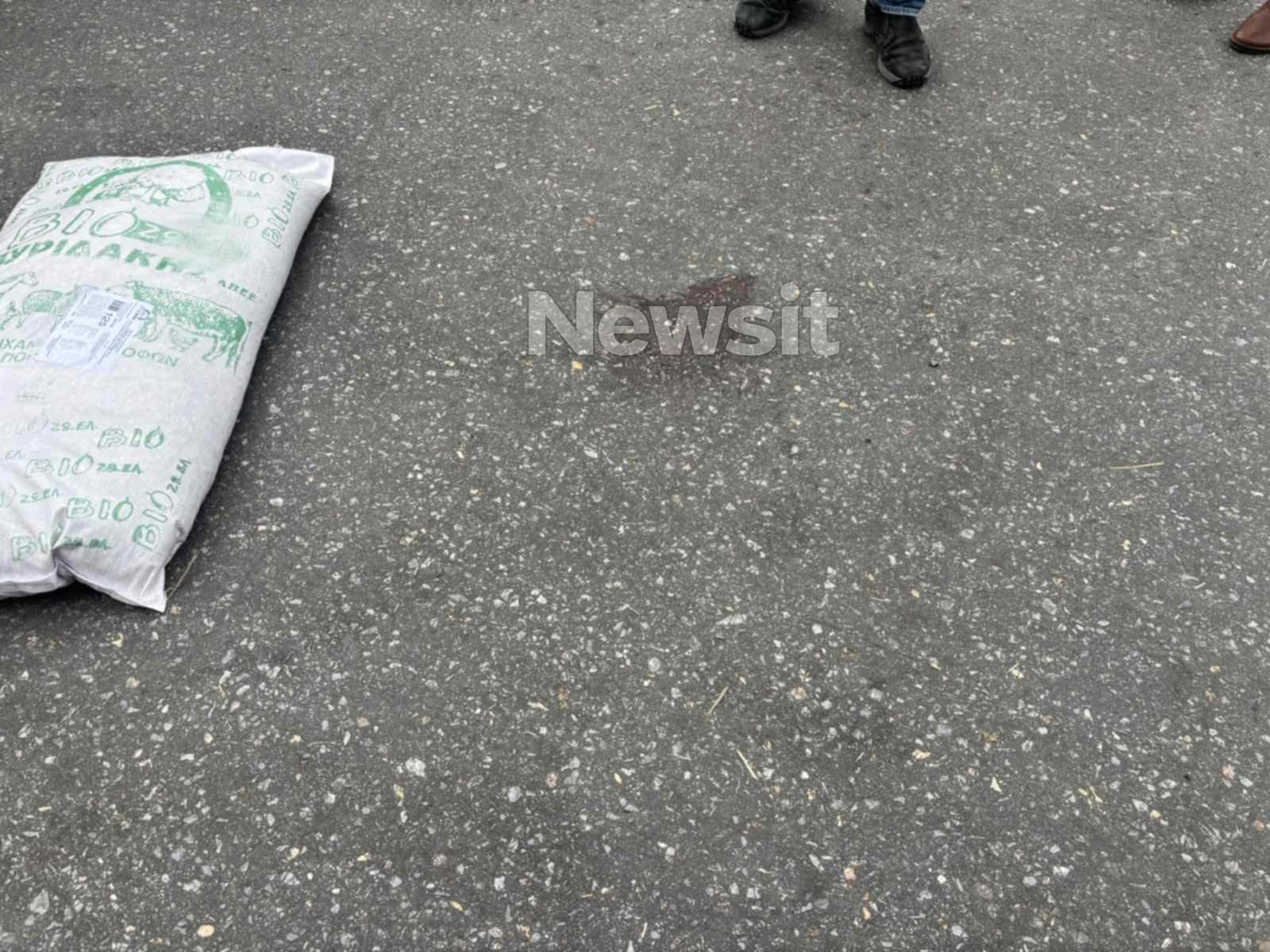 Βεντέτα στο Ηράκλειο: «Πώς είναι δυνατόν ο δράστης να οπλοφορεί μετά από όσα έχουν γίνει» λέει ο αδελφός του Στέφανου Κοκολογιάννη