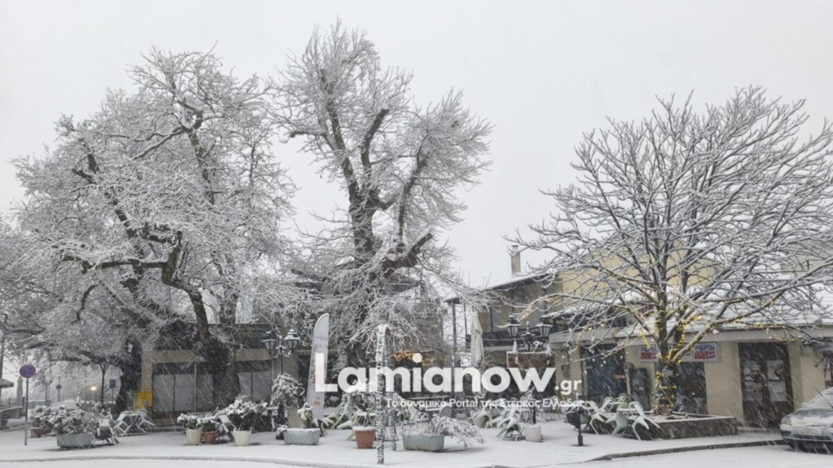 lamianow.gr
