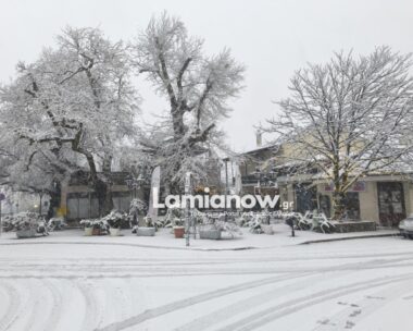 lamianow.gr