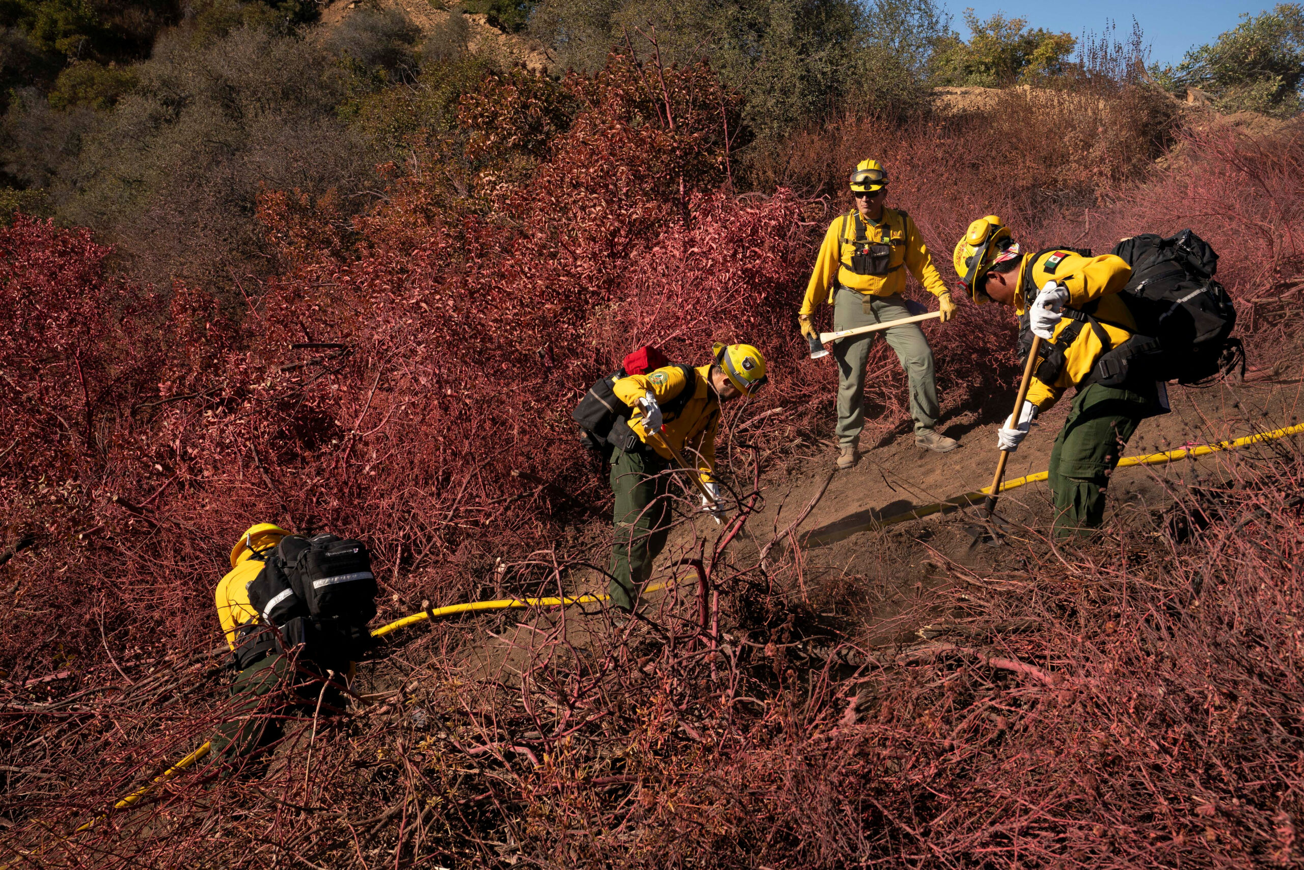 Firefighters from Mexico cut a containment line in the Tarzana area during the Palisades Fire in Los Angeles, California, U.S. January 13, 2025. REUTERS