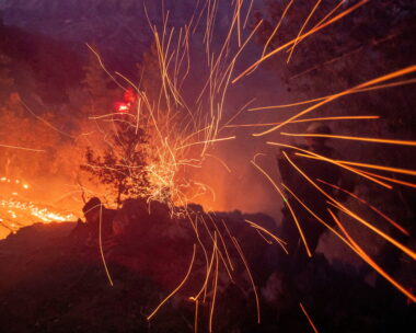 REUTERS
