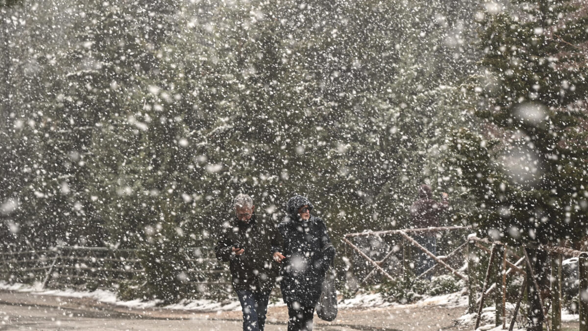 (ΜΙΧΑΛΗΣ ΚΑΡΑΓΙΑΝΝΗΣ