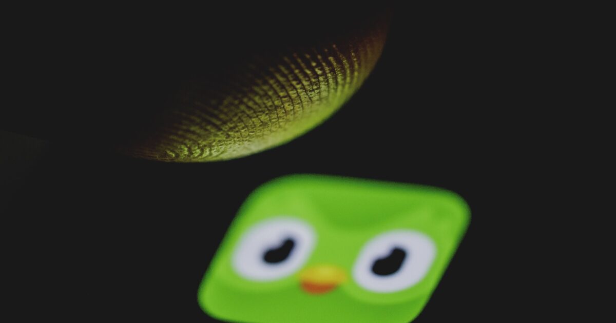 Duolingo’s green owl died – “Instead of flowers, take a lesson”