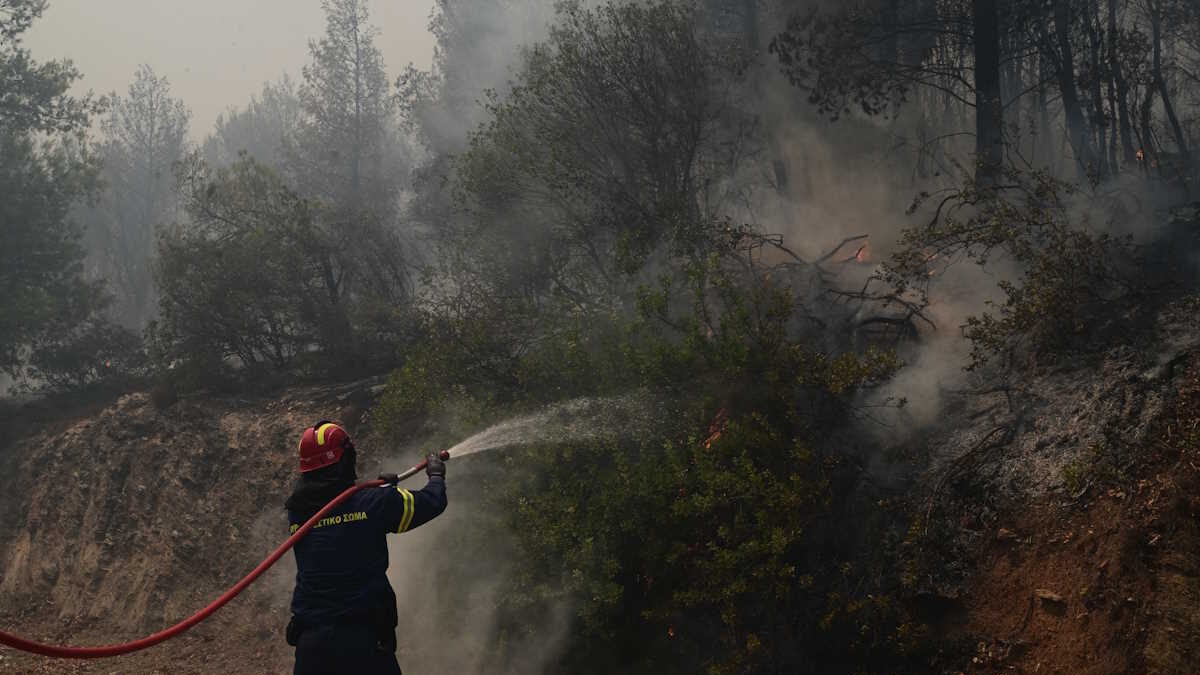 ΦΩΤΟ αρχείου (ΤΑΤΙΑΝΑ ΜΠΟΛΑΡΗ