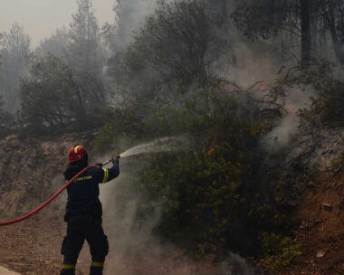 ΦΩΤΟ αρχείου (ΤΑΤΙΑΝΑ ΜΠΟΛΑΡΗ
