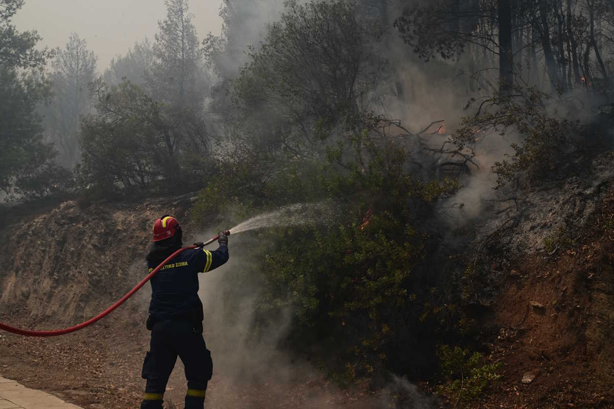 ΦΩΤΟ αρχείου (ΤΑΤΙΑΝΑ ΜΠΟΛΑΡΗ
