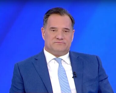 Ο Άδωνις Γεωργιάδης