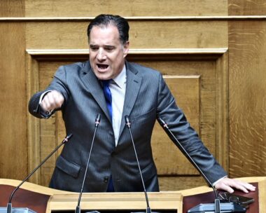 Ο Άδωνις Γεωργιάδης στη Βουλή