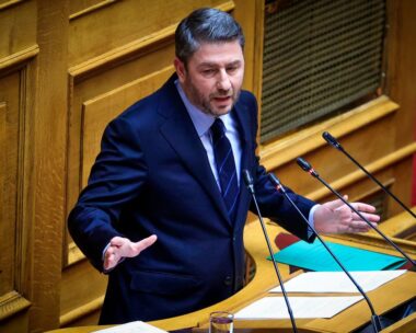 Ο Νίκος Ανδρουλάκης στη Βουλή