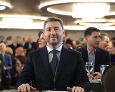 Νίκος Ανδρουλάκης