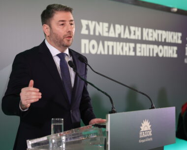 Ο Νίκος Ανδρουλάκης