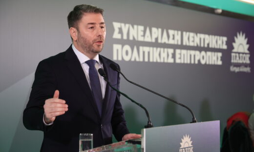 Ο Νίκος Ανδρουλάκης
