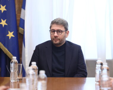 Ο Νίκος Ανδρουλάκης