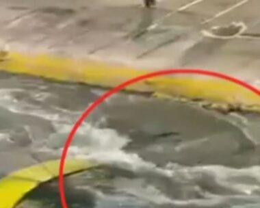 Στιγμιότυπο από την στιγμή που ο Αντώνης Καργιώτης βρίσκεται στη θάλασσα