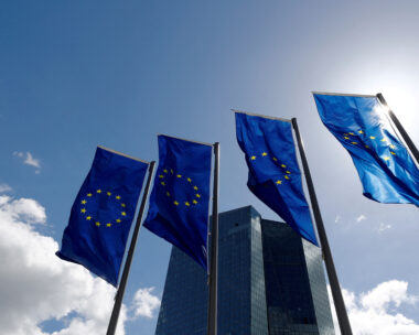 European Union flags