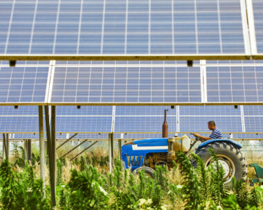 Farmers who open agricultural tractors in solar photovoltaic districts