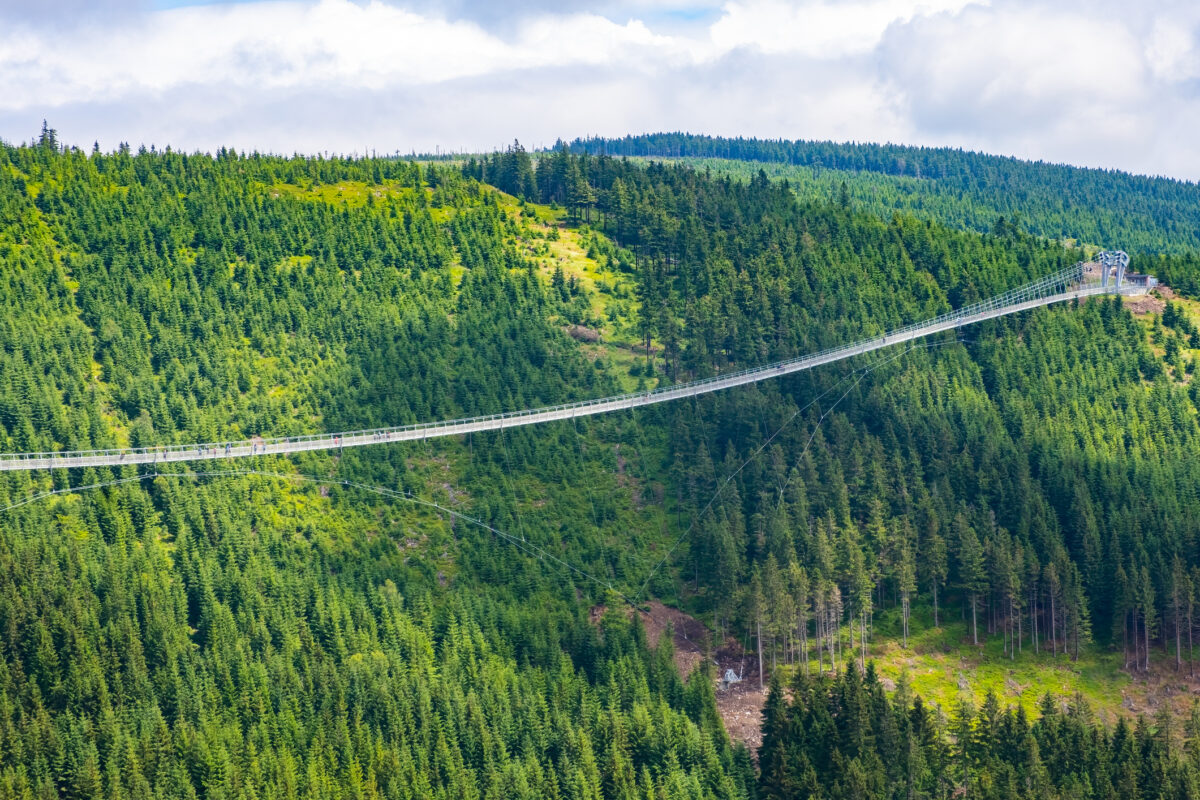 Sky Bridge 721 is the longest suspension bridge between two hills in the forest