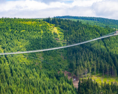 Sky Bridge 721 is the longest suspension bridge between two hills in the forest