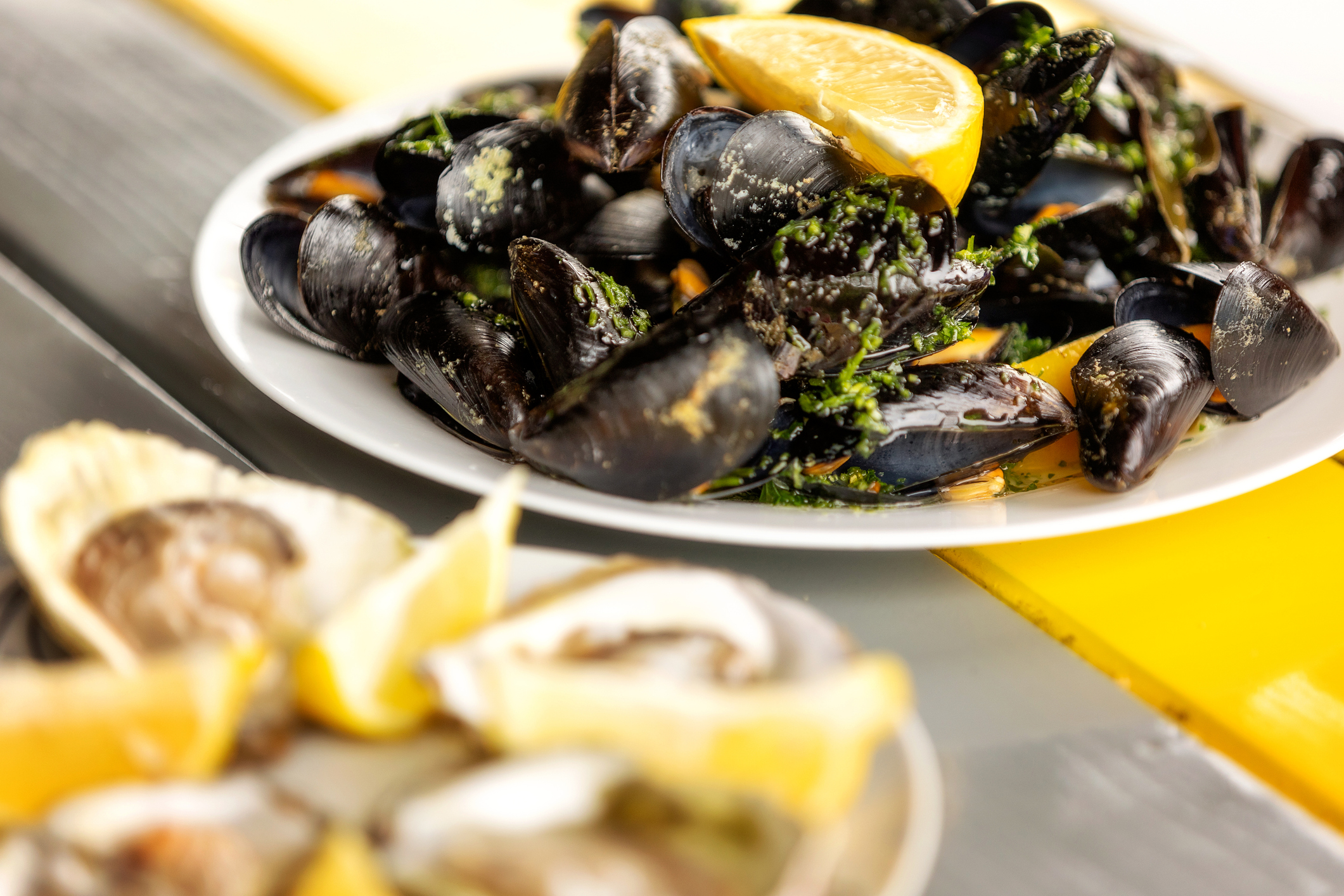 Steamed mussels in white wine sauce and oysters on the plate