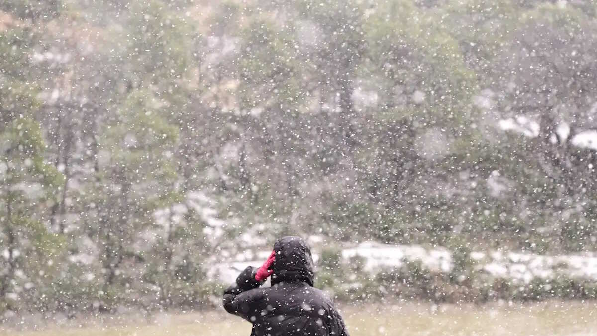 ΦΩΤΟ αρχείου (ΜΙΧΑΛΗΣ ΚΑΡΑΓΙΑΝΝΗΣ