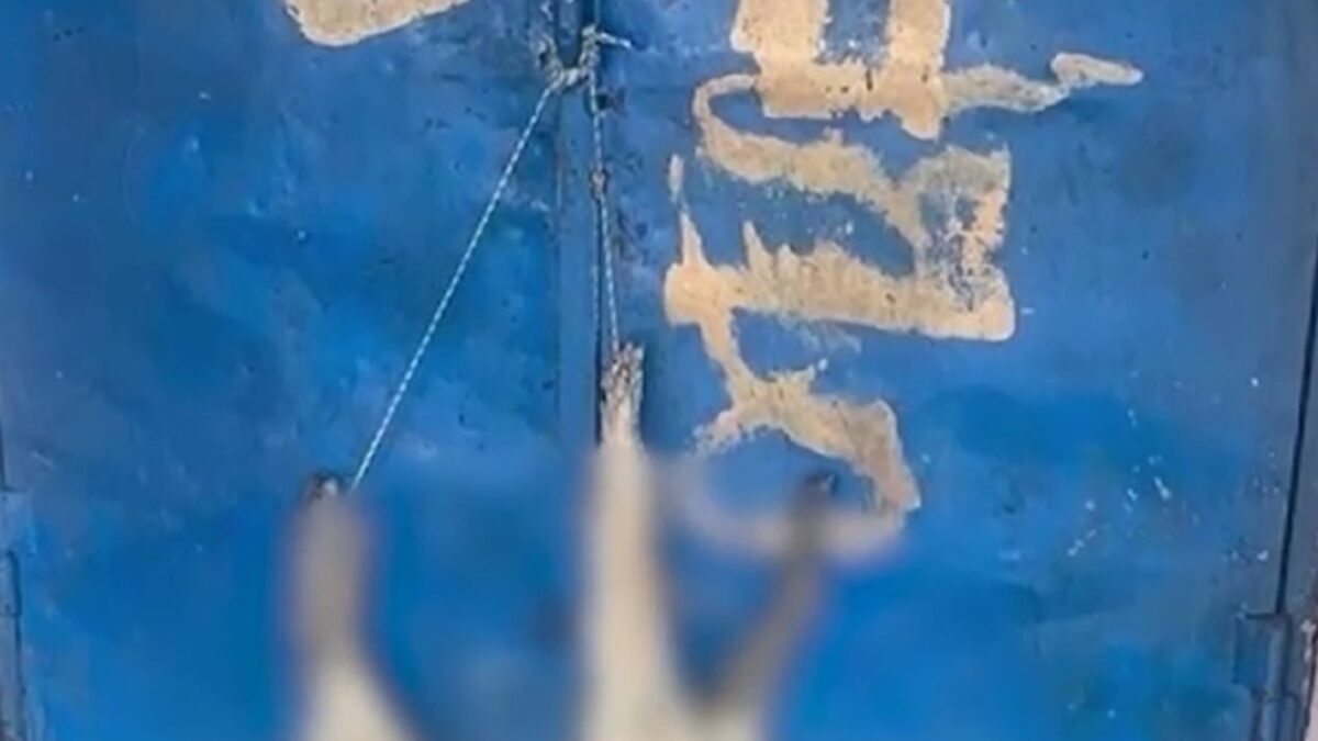 Εικόνα σοκ με το κρεμασμένο σκυλί σε πόρτα σχολείου στην Καρδίτσα