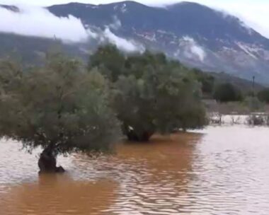 Κεφαλονιά: Βυθισμένο στα λασπόνερα το νησί εδώ και 48 ώρες – Αποκλεισμένα σπίτια και κάμποι που έγιναν λίμνες