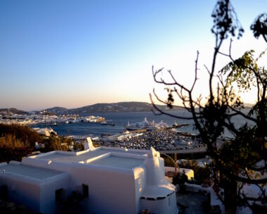 ΜΠΑΛΩΜΑΤΙΝΗ ΝΕΚΤΑΡΙΑ
