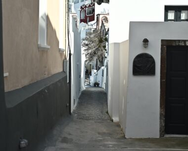 (ΚΩΣΤΑΣ ΤΖΟΥΜΑΣ