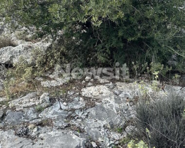Το σημείο όπου βρέθηκε η σορός του Βασίλη Καλογήρου