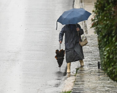 ΜΙΧΑΛΗΣ ΚΑΡΑΓΙΑΝΝΗΣ