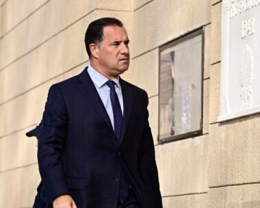 Ο Άδωνις Γεωργιάδης