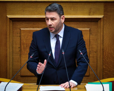 Ο Νίκος Ανδρουλάκης