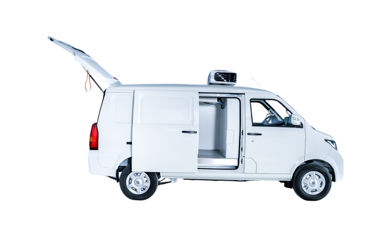 Ecocar Victory Van Freeze