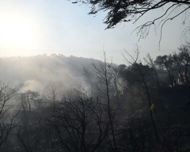 Φωτιά αποτεφρώνει δασική έκταση