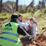 Δεντροφύτευση από τη LAMDA Developent
