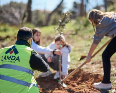 Δεντροφύτευση από τη LAMDA Developent