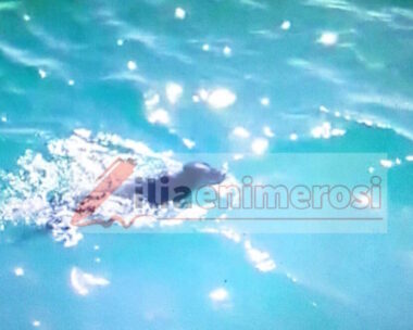 Η σκυλίτσα που διέσωσε το Λιμενικό στο Κατάκολο Ηλείας